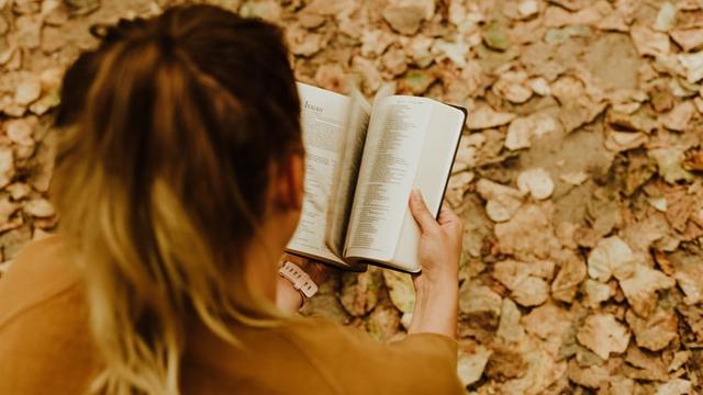 Ilustrasi membaca buku