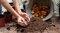 Cara Mengolah Sampah Sayur Jadi Pupuk Kompos di Rumah dengan Mudah dan Ramah Lingkungan