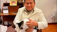 Prabowo Kumpulkan Ketum Parpol hingga Mantan Presiden dan Wapres di Istana, Dibenarkan Zulhas