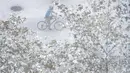 Pengendara sepeda terlihat dari dedaunan yang tertutup salju di Manhattan, New York, Kamis (15/11). Layanan Cuaca Nasional memprediksi hujan salju pertama pada awal musim dingin itu akan mencapai ketebalan 2-4 inci. (AP/Wong Maye-E)