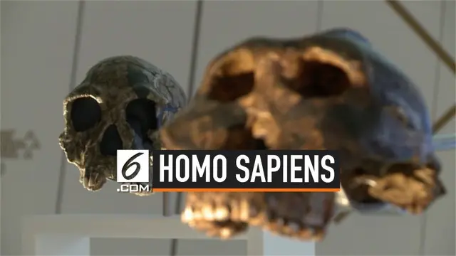 VIDEO: Peneliti Temukan Bukti Keberadaan Homo Sapiens Awal