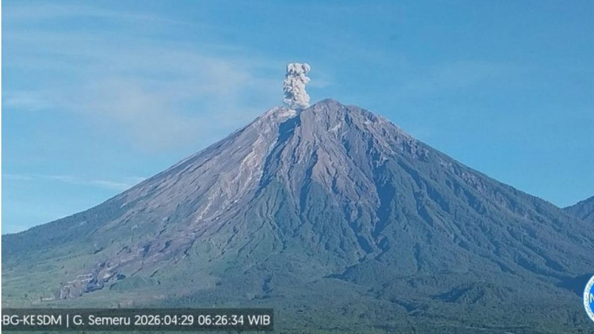 Gunung Semeru Erupsi Lagi Pagi Ini, Tinggi Letusan Capai 900 Meter  #News