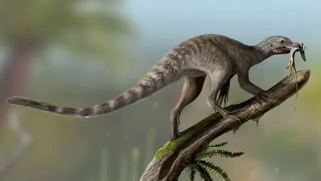 venetoraptor