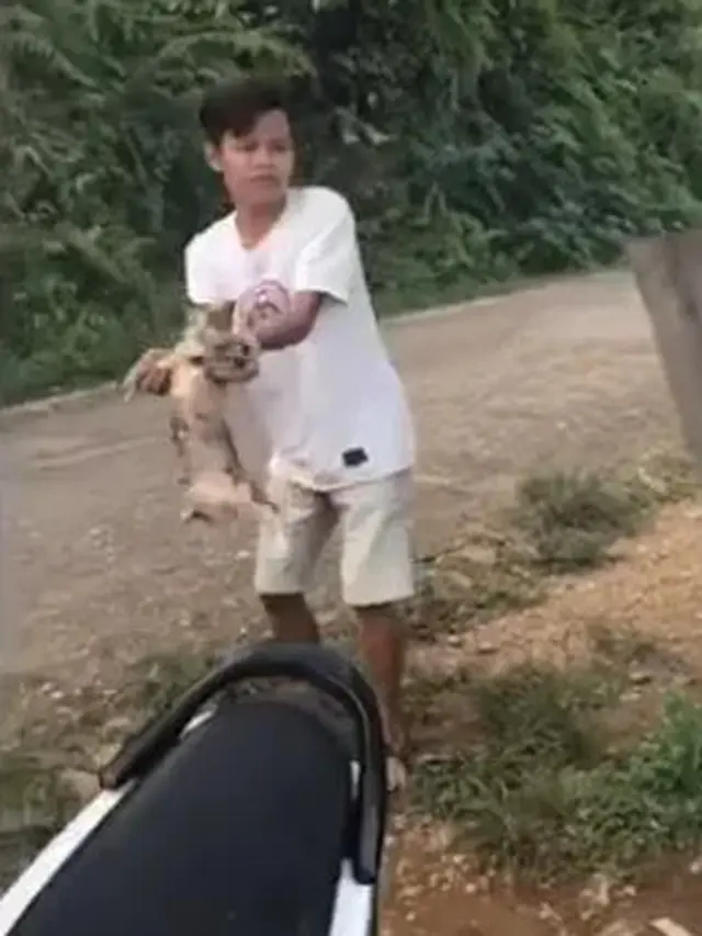 Demi Konten, Viral Pemuda Tega Lempar Kucing dari Puncak Bukit