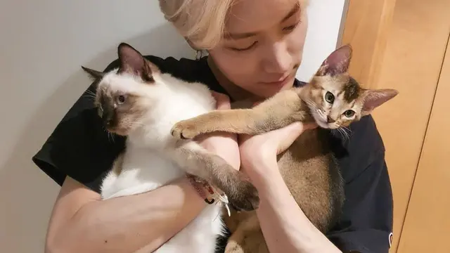 Ten NCT