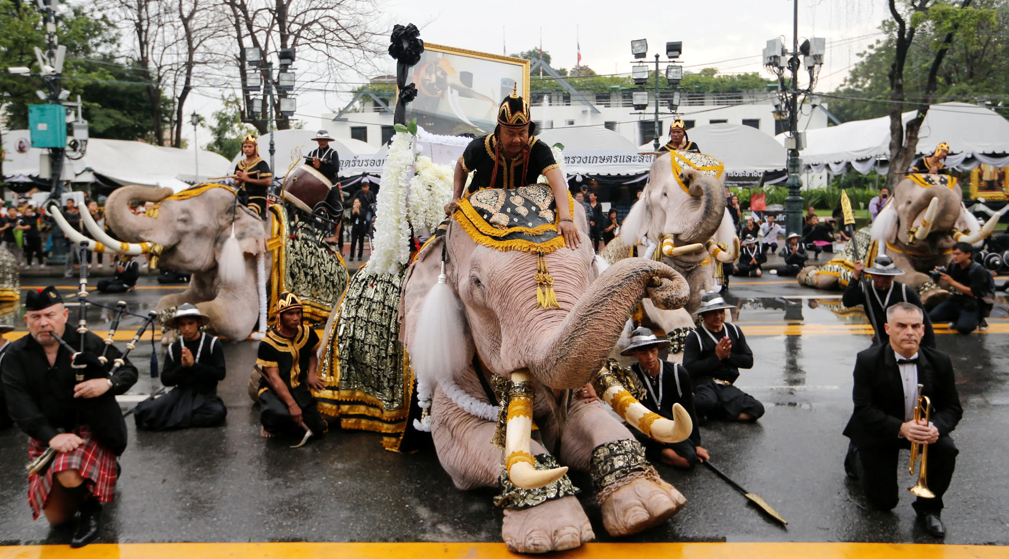 Gajah Ayutthaya ditunggangi pawangnya duduk memberikan penghormatan untuk mendiang Raja Thailand Bhumibol Adulyadej di depan Royal Palace, Bangkok, Thailand (8/11). Bagi orang Thailand gajah merupakan penjelmaan dari salah satu dewa.(Reuters/Jorge Silva)