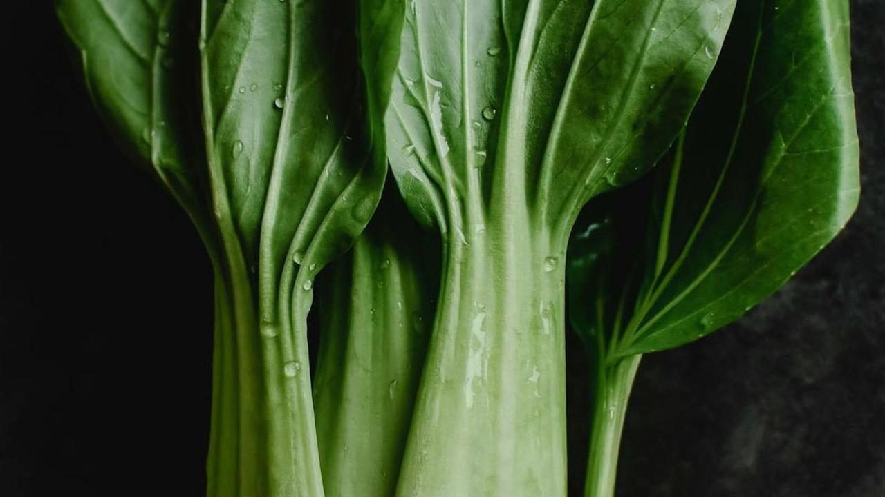 Sehat, Bermanfaat, dan Lezat, Ketahui Manfaat Sayur Pokcoy atau Sawi Daging bagi Tubuh