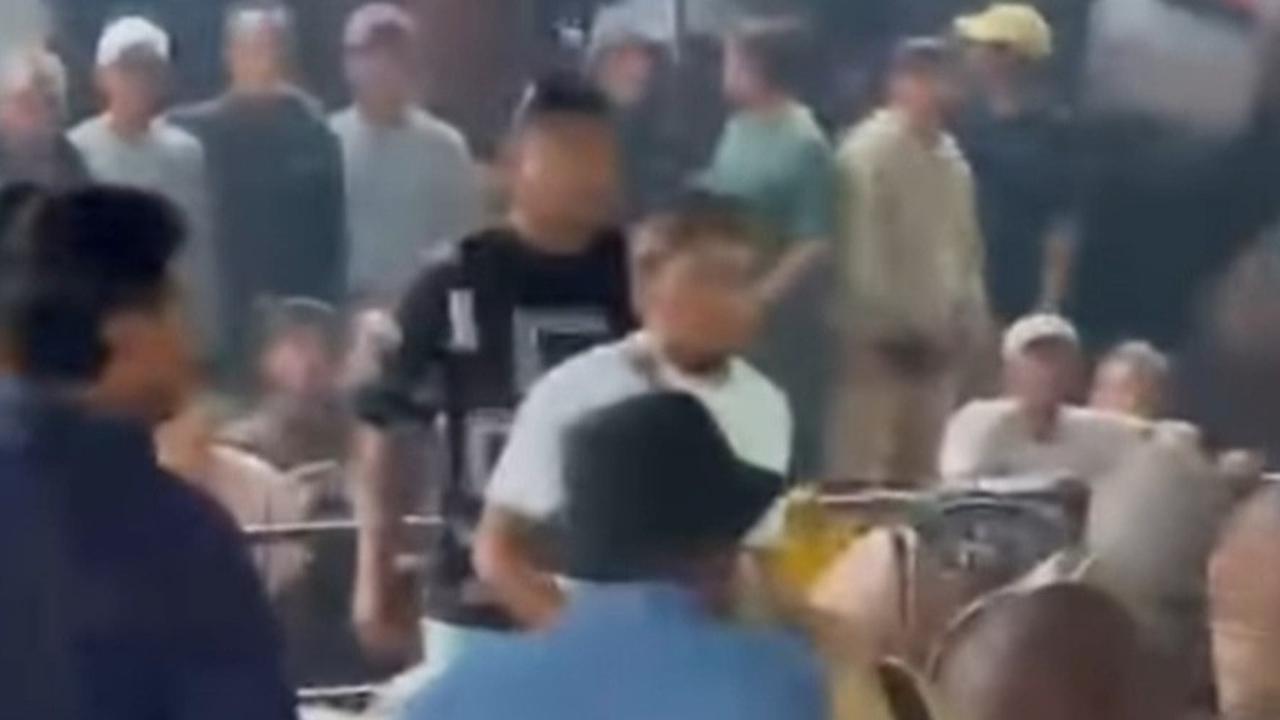 Satu Orang Tewas Akibat Perkelahian Brutal di Arena Sabung Ayam Kintamani Bangli, Berikut Kronologi Lengkapnya