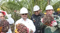 Menteri Pertanian, Syahrul Yasin Limpo panen kelapa sawit di Ogan Komering Ilir, Sumatra Selatan. (Foto: Istimewa)