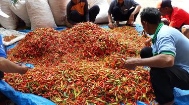 H+2 Lebaran, Harga Cabai dan Bawang Merah Makin Adem Anyem