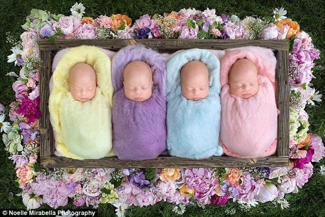 Bayi kembar empat identik langka di dunia | Photo: Copyright dailymail.co.uk