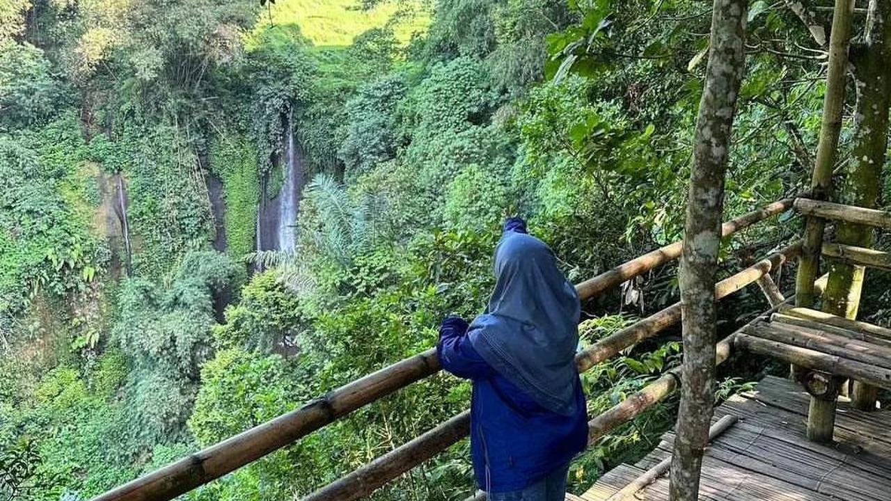 Trekking dengan Pemandangan Hutan Bambu
