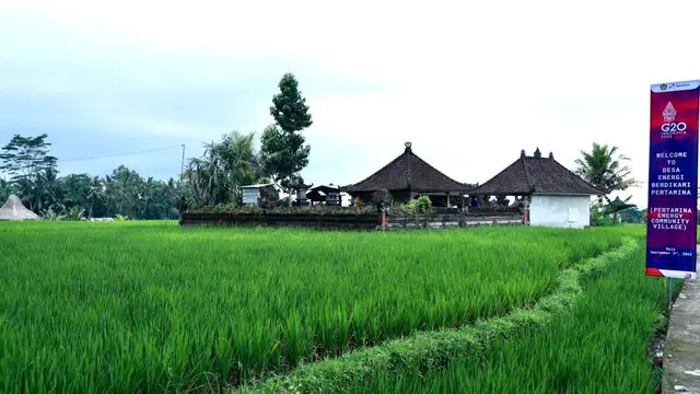 Desa Energi Berdikari Pertamina “menciptakan lingkungan lestari dan menggerakan ekonomi” di Desa Keliki, Ubud, Gianyar, Bali, Rabu, (31/8/2022).