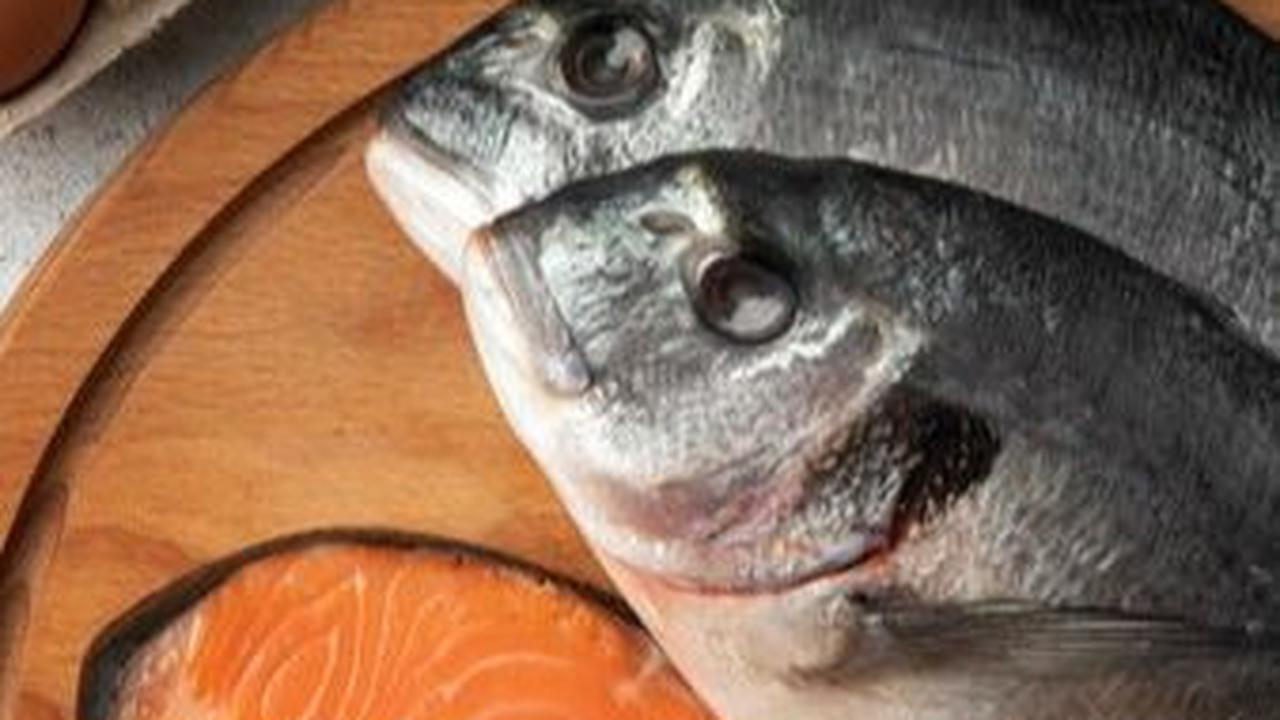 12 Ikan yang Memiliki Protein Tinggi dan Bisa Dibeli dengan Harga Ekonomis, Bagus Untuk Kecerdasan Anak