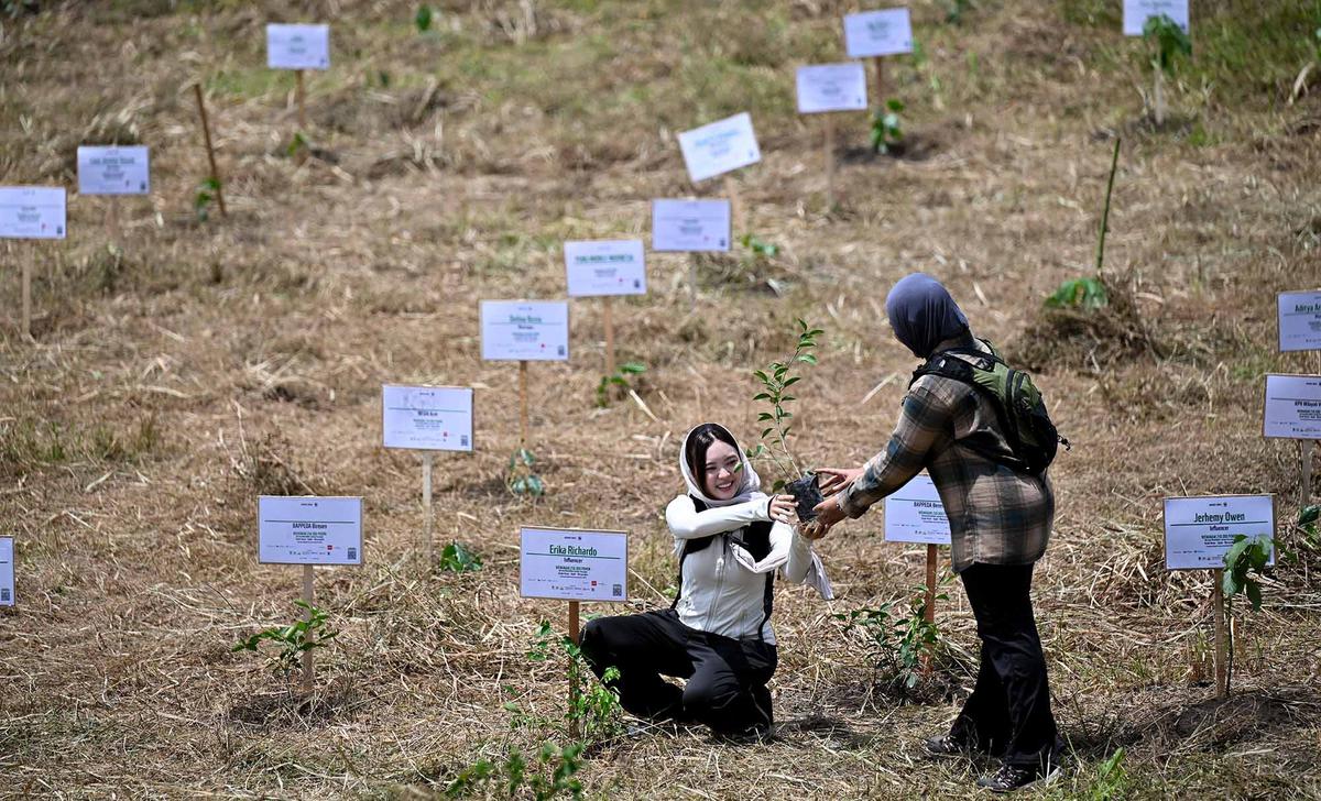 Ratusan Ribu Pohon Ditanam di DAS Peusangan Aceh