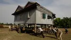 Warga bergotong royong memindahkan rumah di Desa Serey Andet di provinsi Kampong Speu, Kamboja (27/3). Pindah rumah dengan cara tradisional ini bagian dari budaya di Desa Serey Andet. (AP Photo/Heng Sinith)