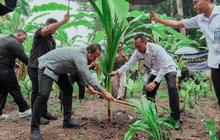 Trivia: Pohon Kelapa Serbaguna, Wabup Badung Dukung Ketahanan Pangan Nasional Lewat Penanaman Bibit