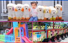 Mengunjungi Petshop Unik di Bandung, Ada Taman Hijau dan Playground Anak, Cocok untuk Liburan