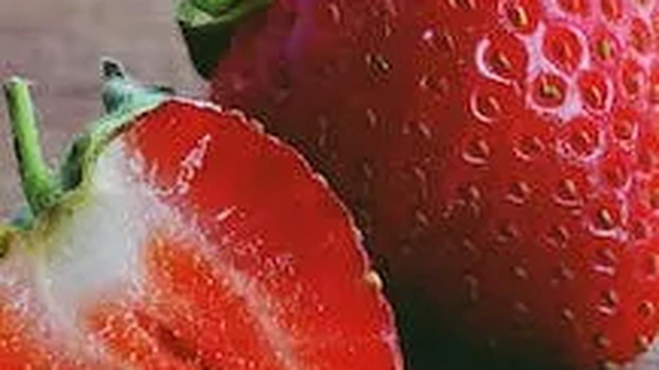 Generasi baru sering kali dihadapkan pada sejumlah tantangan, dan istilah "Strawberry Generation" muncul sebagai deskripsi bagi generasi yang dianggap rapuh dan mudah menyerah.&nbsp;