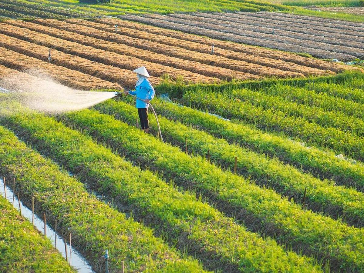 Daya Tarik Desa Wisata Kemetul