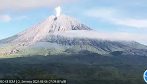 Gunung Semeru erupsi dengan ketinggian letusan mencapai 800 mdpl (Istimewa)