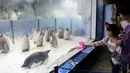 Pengunjung mengamati bayi penguin kaisar di taman hiburan Chimelong Ocean Kingdom yang berada di Zhuhai, Provinsi Guangdong, China pada 8 November 2020. Sepuluh bayi penguin kaisar yang lahir antara Juni hingga Agustus tahun ini tampil perdana di depan publik pada Minggu (8/11). (Xinhua/Huang Guobao