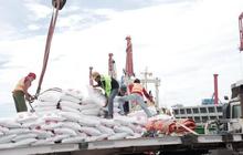 Pemerintah Bidik Produksi Gula Kristal Putih 3,04 Juta Ton di 2026