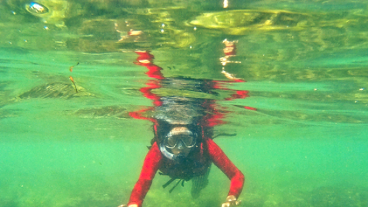 Serunya Snorkeling di Pantai Sadranan Yogyakarta