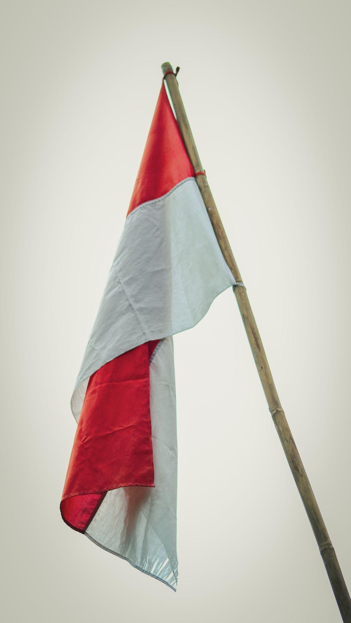 Dahulu, Indonesia sempat menganut ideologi Demokrasi Pancasila. Menurut Kamus Besar Bahasa Indonesia (KBBI), demokrasi Pancasila adalah demokrasi yang berdasarkan sila Pancasila yang dilihat sebagai suatu keseluruhan yang utuh. Konsep pemahaman ideologi i
