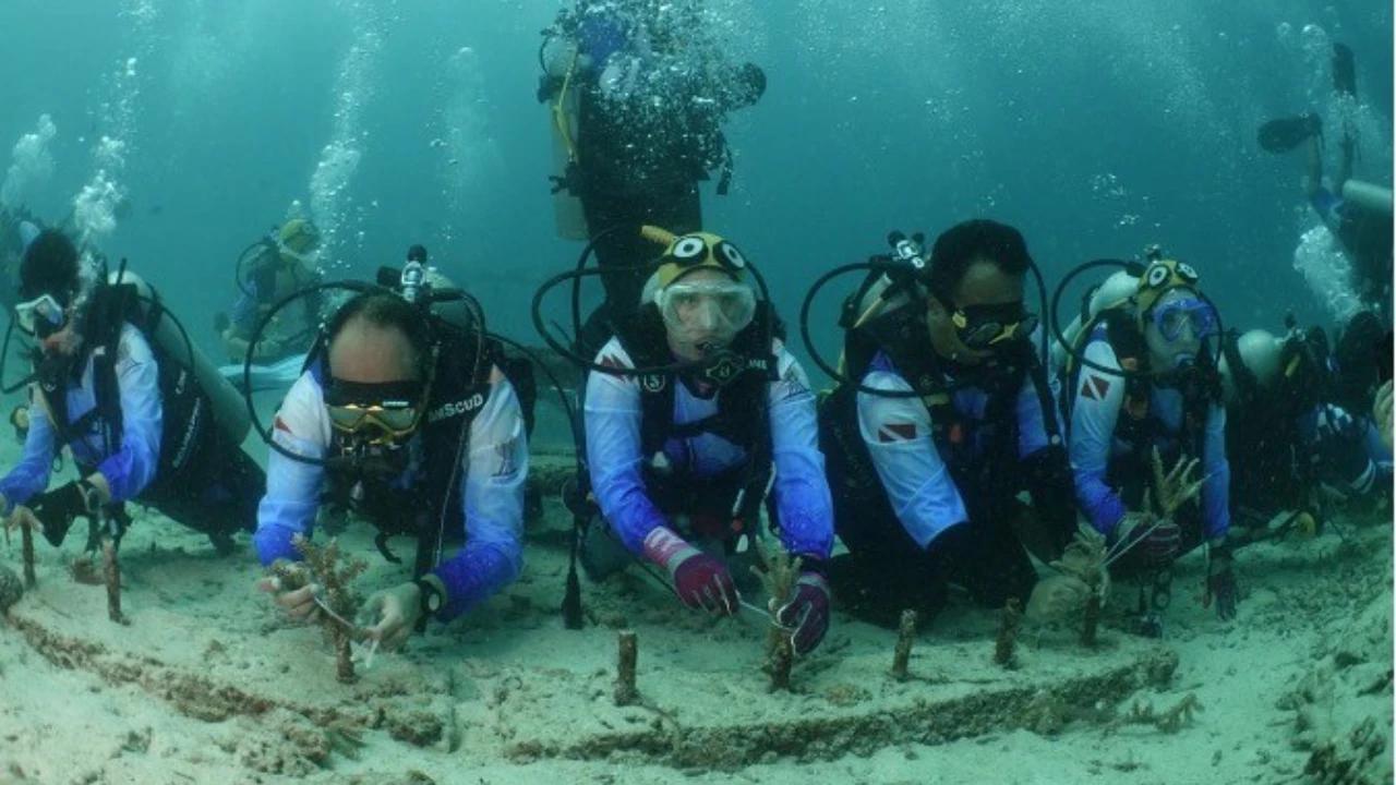 Pulihkan Ekosistem Wisata Laut di Aceh, Pekerja BRI Lakukan Transplantasi Terumbu Karang di Perairan Kepulauan Sabang