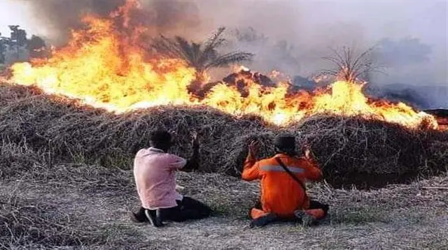 Kebakaran Hutan Kalteng yang Menggerus Penghasilan Warga