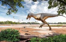 Sedang Mendaki, Kakak Adik Temukan Tulang Kaki Raksasa Mencuat dari Tanah, Ternyata Fosil T-Rex Remaja Berusia 67 Juta Tahun