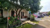 12 Jenis Pohon Buah yang Cepat Tinggi Tapi Akarnya Tetap Aman untuk Rumah