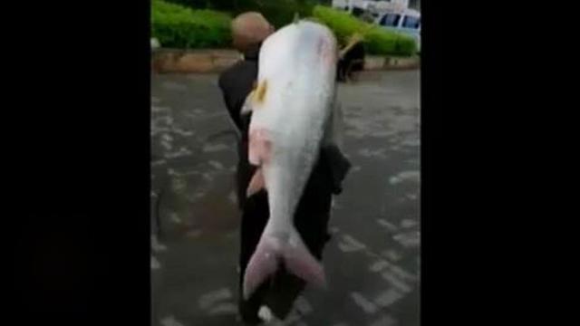 Segmen 3 Kakek Mancing Ikan Raksasa Hingga Film Aadc2 News Liputan6 Com