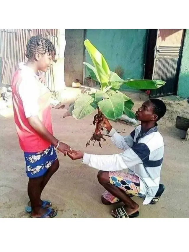 6 Hadiah Bunga untuk Pacar Ini Nyeleneh Banget, Anti-mainstream