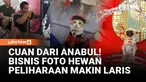 Satu kata kunci buat fotografi hewan peliharaan, yaitu sabar! Setiap hewan memiliki banyak kepribadian. Ada yang ceria, pemalu, ada yang galak tapi manja. Sang fotografer berusaha menangkap momen, karakter, sekaligus kedekatan hewan dengan pemiliknya...
