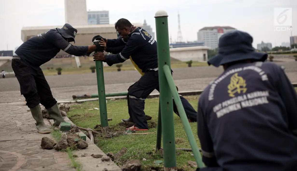 Petugas Unit Pengelola Kawasan (UPK) Monas mencabut pagar pembatas rumput di dalam kawasan Monas, Jakarta, Jumat (11/1). Langkah ini dilakukan Pemprov DKI untuk memberi akses kepada warga agar bisa memanfaatkan taman di sana. (Liputan6.com/Arya Manggala)