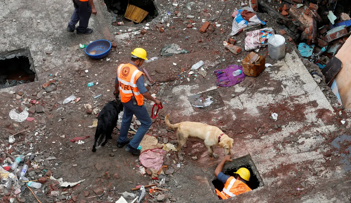 Petugas menggunakan anjing pelacak untuk mencari korban di lokasi ambruknya bangunan perumahan di pinggiran Mumbai, India, Minggu (31/7). Sebuah bangunan perumahan ambruk akibat hujan lebat dan menewaskan sembilan orang. (REUTERS/Shailesh Andrade)