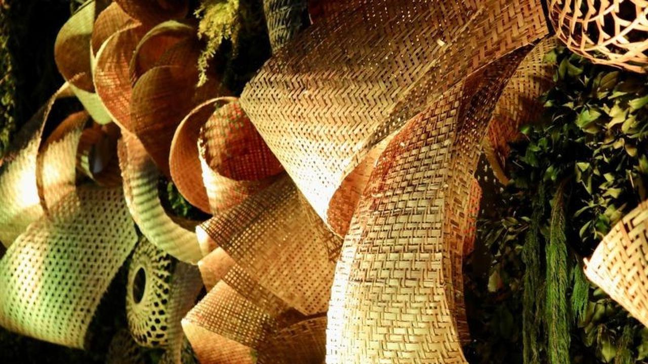Trivia ISF 2025: Mengapa Bambu, Tumbuhan Cepat Tumbuh, Jadi Simbol Kuat Keberlanjutan?