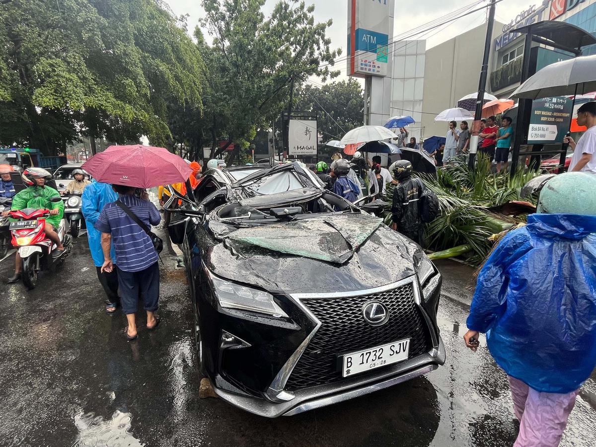 FOTO: Pohon Tumbang Timpa Mobil Mewah di Pondok Indah, Supir Tewas di Tempat