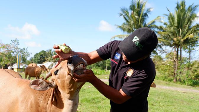 Wajib Simak 5 Alasan Berkurban Melalui Thk Dompet Dhuafa Bisnis