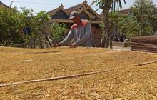 BPS Catat Inflasi Tahunan April 2026 Tembus 2,42 Persen, Makanan dan Tembakau Jadi Biang Kerok