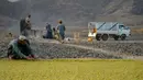 Petani meletakkan anggur ke tanah untuk dikeringkan saat membuat kismis di Kandahar, Afghanistan, 6 September 2021. (JAVED TANVEER/AFP)