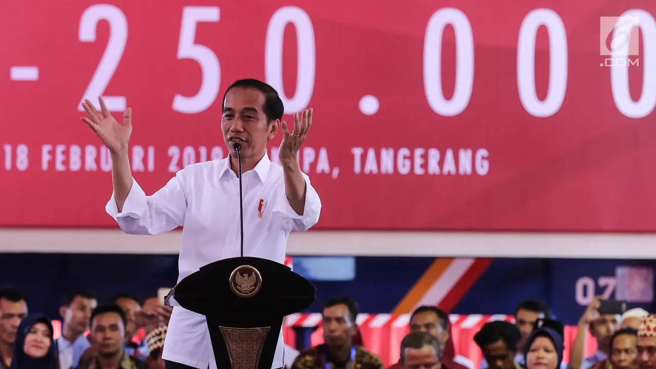 Presiden Jokowi Lepas Kontainer Ekspor Mayora ke-250 Ribu