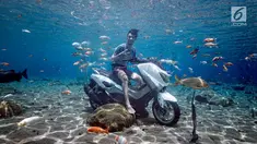 Pengunjung berfoto di atas sepeda motor dalam kolam renang Umbul Ponggok, Desa Polanharjo, Klaten, Jawa Tengah, Minggu (30/9). Selain sepeda motor, kolam renang ini juga berisi ikan, bebatuan, dan properti lainnya. (Liputan6.com/Gholib)