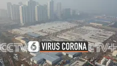 THUMBNAIL CORONA