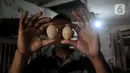 Safak menunjukkan telur ayam Cemani di peternakan rumahan kawasan Kedu, Kabupaten Temanggung, Jawa Tengah (27/2/2023). Keterbatasan wilayah populasi dan kentalnya mitos pada ayam Cemani yang kerap digunakan dalam ritual sejumlah tradisi Jawa ini membuatnya banyak diburu. (merdeka.com/Iqbal S Nugroho)