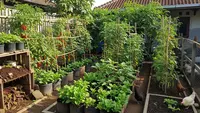 8 Inspirasi Kebun Produktif yang Memanfaatkan Limbah Ternak Sebagai Pupuk Alami