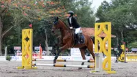 Selebritas Indonesia, Melody Laksani berkompetisi dalam cabang olahraga berkuda nomor show jumping Turnamen Olahraga Selebriti Indonesia (TOSI) Season 3 yang berlangsung di Arthayasa Stable, Depok, Jawa Barat, Jumat (01/11/2024). (Bola.com/Bagaskara Lazuardi)
