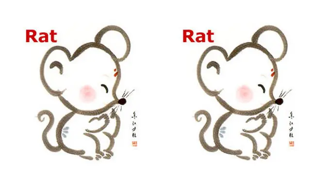 (C) chinese-zodiak.com